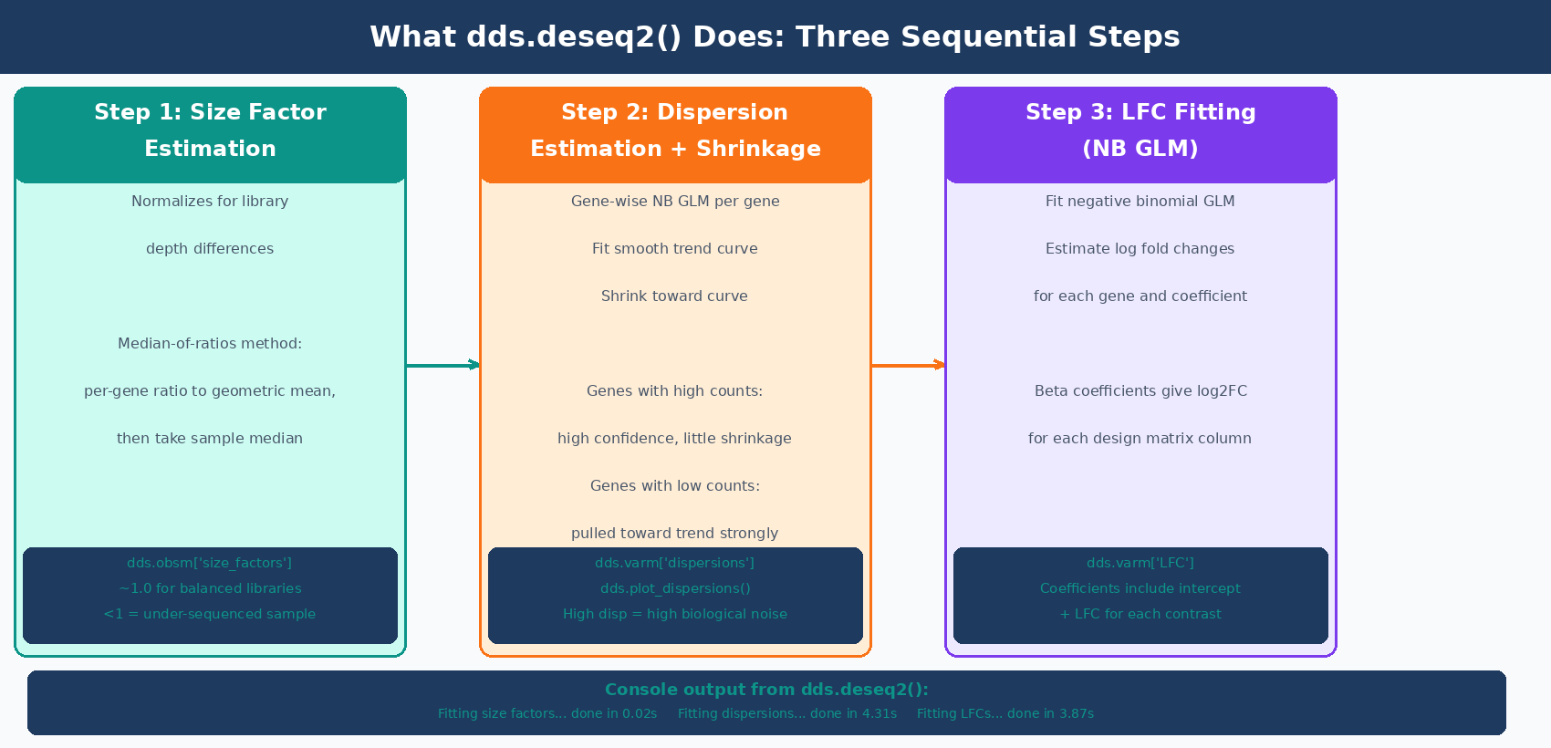 Three-panel diagram showing the three steps inside dds.deseq2(): left panel shows size factor estimation with per-sample bar chart, center panel shows dispersion estimation with gene-wise estimates and fitted trend curve, right panel shows LFC fitting with coefficient estimates per gene