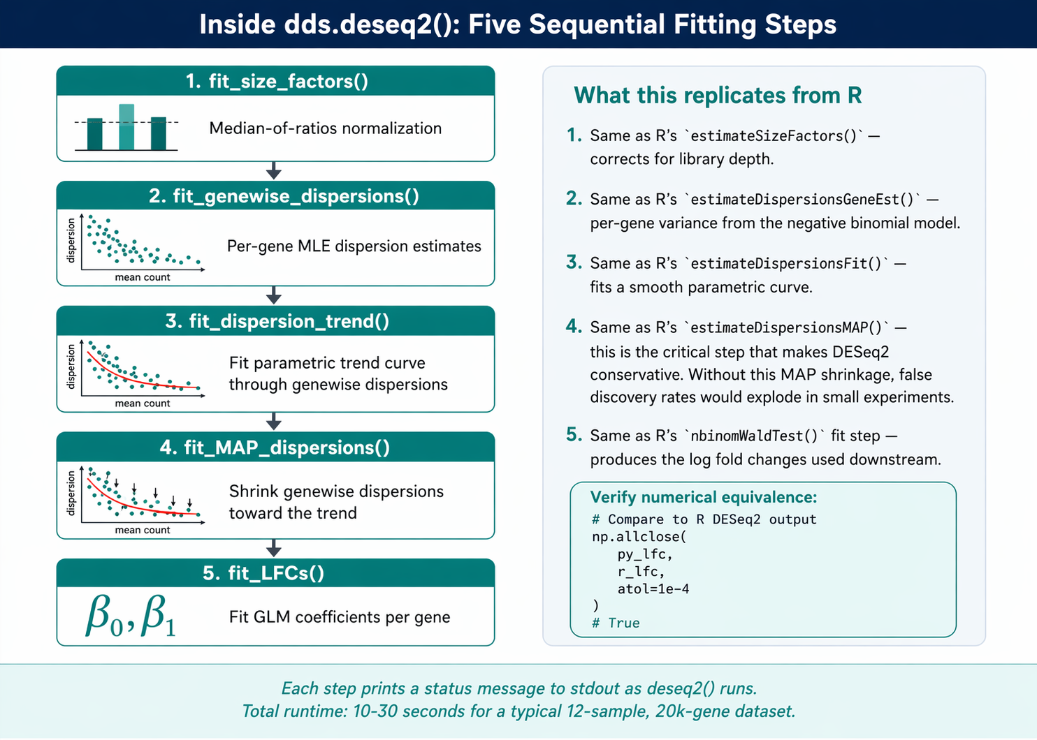 Vertical flowchart showing the five steps executed inside dds.deseq2(): step 1 fit_size_factors with median-of-ratios normalization icon, step 2 fit_genewise_dispersions with a dispersion vs mean scatter icon, step 3 fit_dispersion_trend_curve with a curve fitting icon, step 4 fit_MAP_dispersions with a shrinkage arrow pointing toward the curve, step 5 fit_LFCs with beta coefficients icon; each step is a rounded box with teal color and arrows connecting them top to bottom; right side shows a small callout noting that these are the same steps as R DESeq(), printed to stdout as deseq2() runs