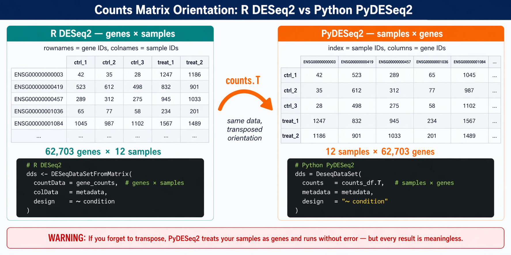 Side-by-side comparison of counts matrix orientation: left panel labeled R DESeq2 shows a matrix with gene IDs on the rows and sample IDs on the columns, with dimension label 62703 genes × 12 samples; right panel labeled Python PyDESeq2 shows the transposed matrix with sample IDs on the rows and gene IDs on the columns, with dimension label 12 samples × 62703 genes; a big curved arrow labeled transpose connects the two panels; below both matrices is a code snippet showing counts.T to perform the transpose