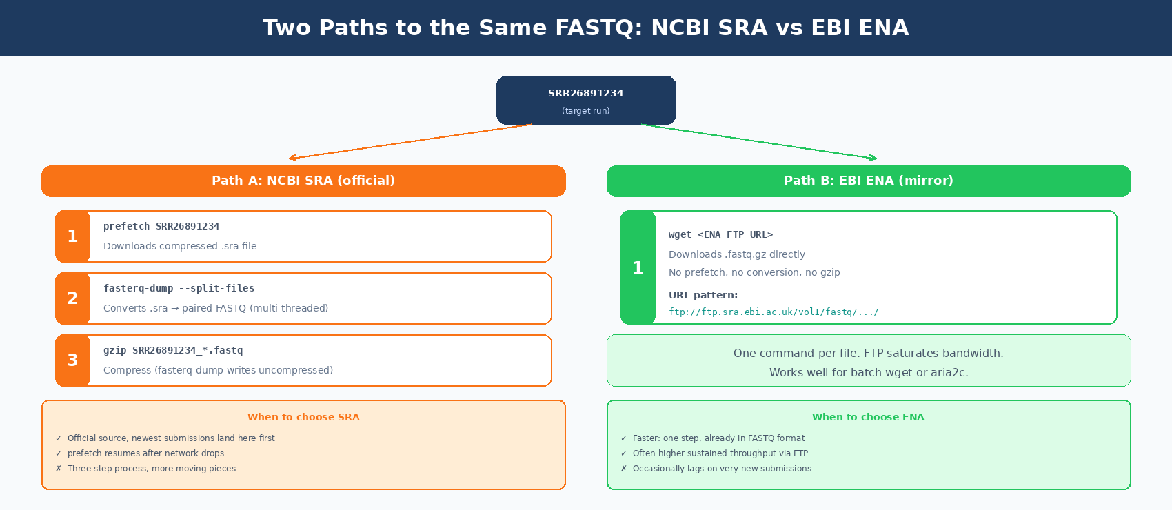 Two parallel download paths compared: top path shows NCBI SRA route with a prefetch step followed by fasterq-dump conversion for each SRR, with boxes indicating compressed SRA file downloaded then FASTQ extraction; bottom path shows EBI ENA route with direct wget of gzipped FASTQ files, one step; right side shows comparison annotations noting SRA is resumable and official source while ENA is faster with no conversion step