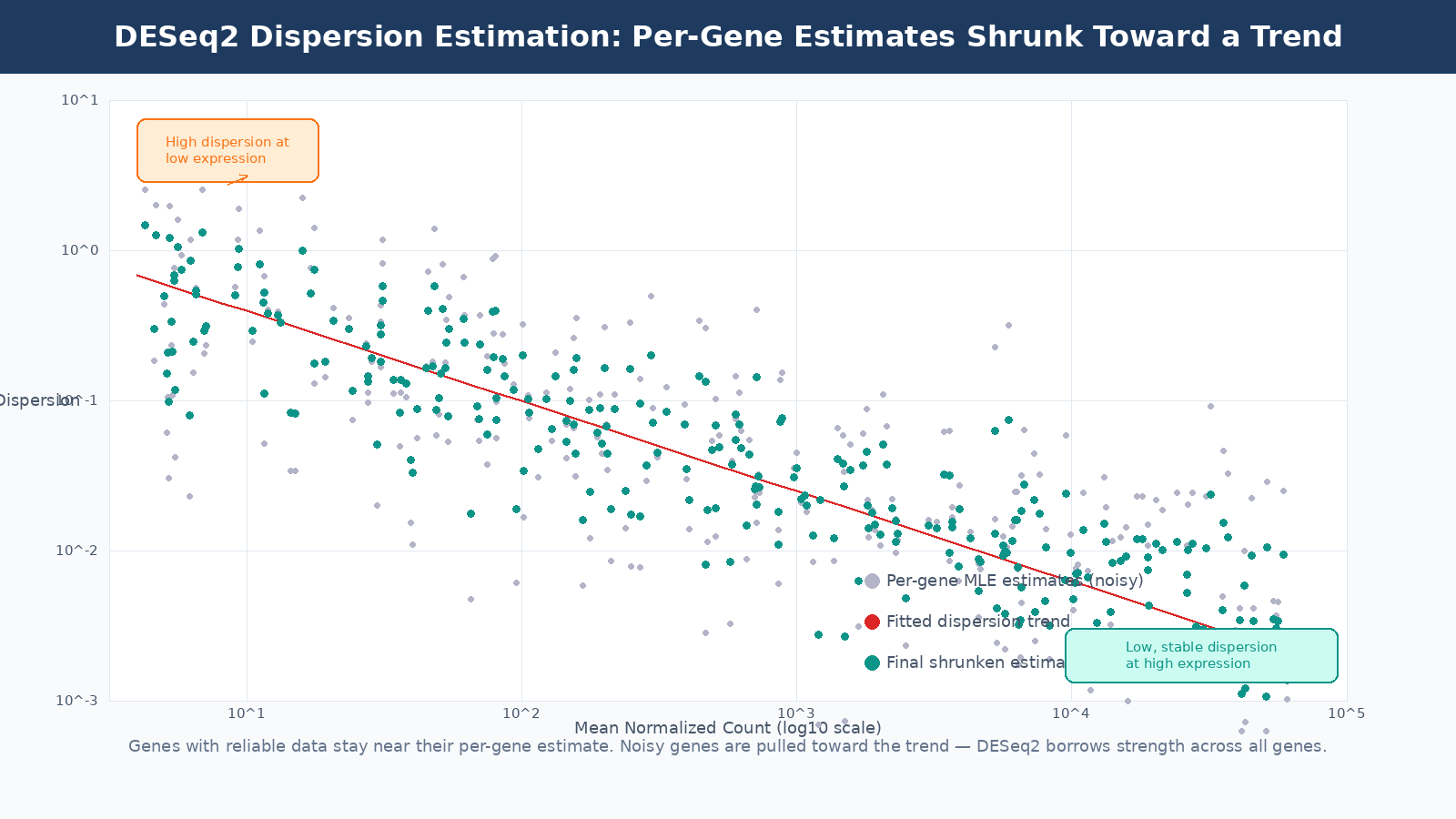 DESeq2 dispersion plot showing per-gene dispersion estimates as black dots, the fitted trend line in red, and the final shrunken estimates as blue dots, with the pattern of higher dispersion at low mean counts
