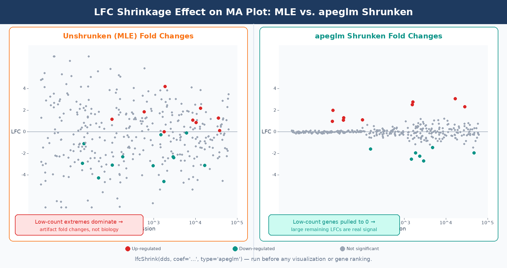 Side-by-side MA plots comparing unshrunken MLE fold changes versus apeglm-shrunken fold changes, showing how shrinkage pulls noisy low-count genes toward zero and makes the distribution of true large-effect genes more visible