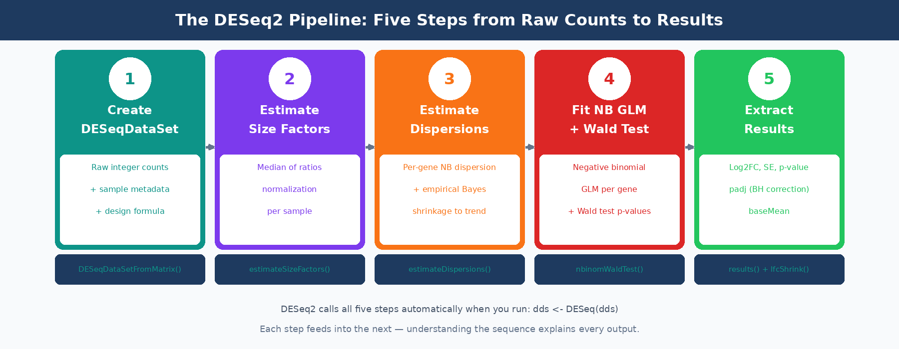 Overview diagram of the DESeq2 analysis pipeline showing the five sequential steps: create DESeqDataSet, estimate size factors, estimate dispersions, fit the GLM, and extract results with the Wald test