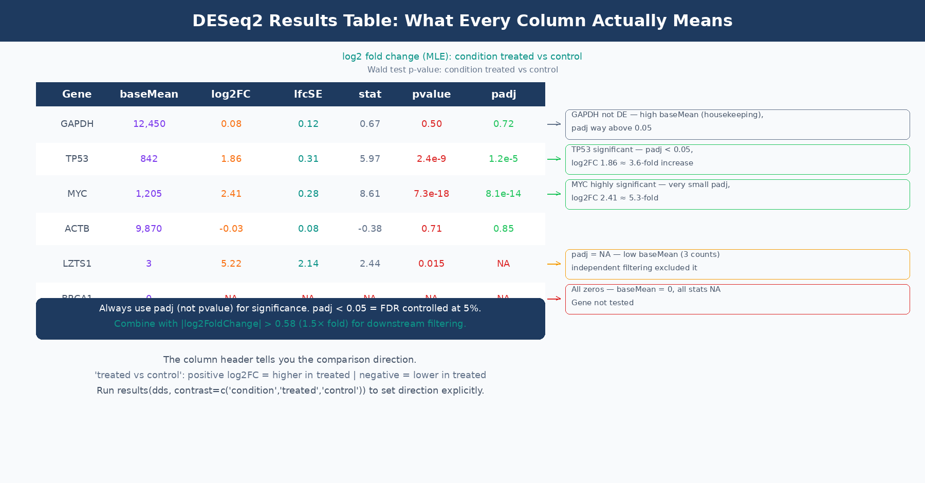 Annotated DESeq2 results table showing all six columns with callouts explaining what each column represents, including common misinterpretations and what NA values in the padj column mean