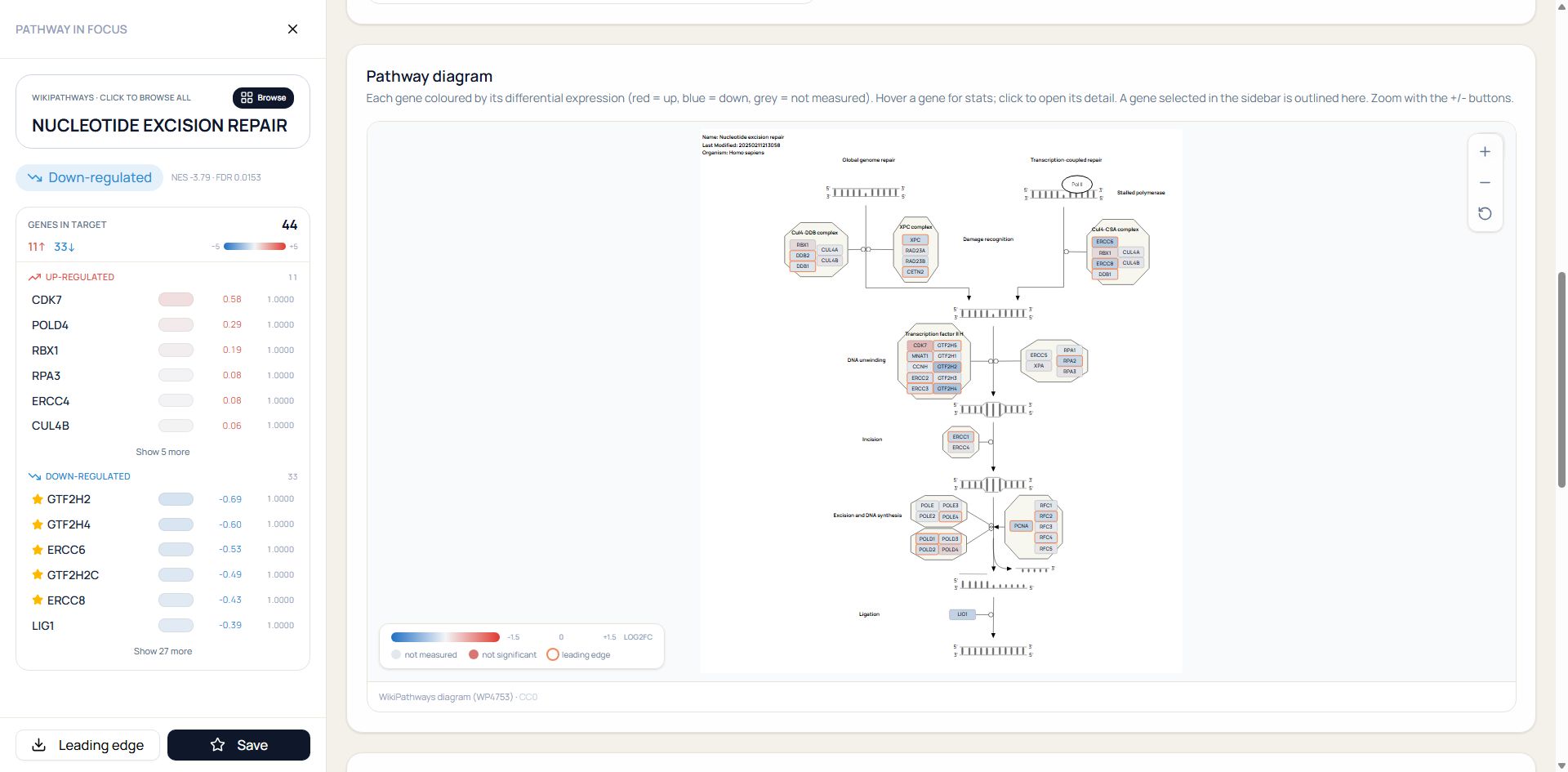 NotchBio Pathway in Focus for nucleotide excision repair with the WikiPathways molecular diagram, pathway name, active comparison, member genes, and log2 fold-change legend