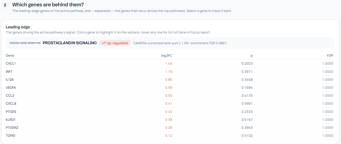NotchBio leading-edge table linking a selected pathway to member-gene log2 fold changes, p-values, and FDR values