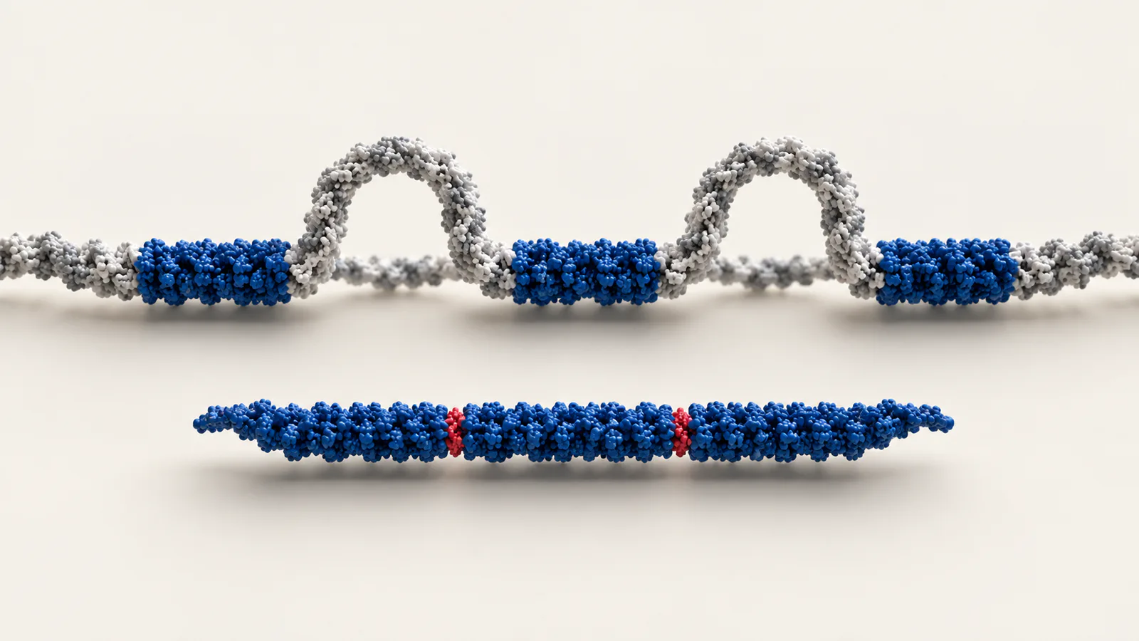 How to Identify Introns in a DNA Sequence