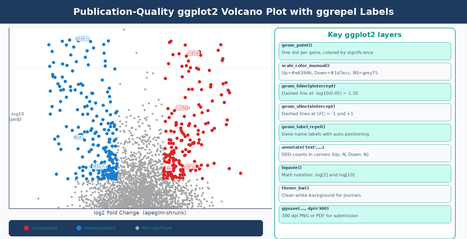 A publication-quality ggplot2 volcano plot with red upregulated genes on the right, blue downregulated genes on the left, gray non-significant genes in the center, dashed threshold lines at padj=0.05 and LFC=+-1, top 20 gene labels added with ggrepel without overlap, and DEG counts annotated in the top corners