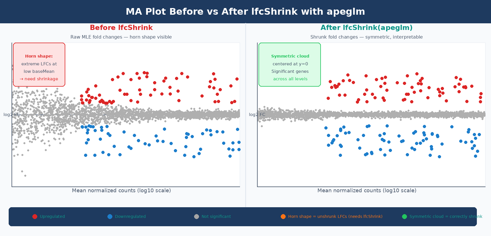 Two side-by-side ggplot2 MA plots: left shows the characteristic horn shape from unshrunk DESeq2 MLE estimates, with wide LFC scatter at low baseMean values; right shows the same data after apeglm shrinkage, where low-count variance collapses and significant genes form a symmetric pattern across expression levels