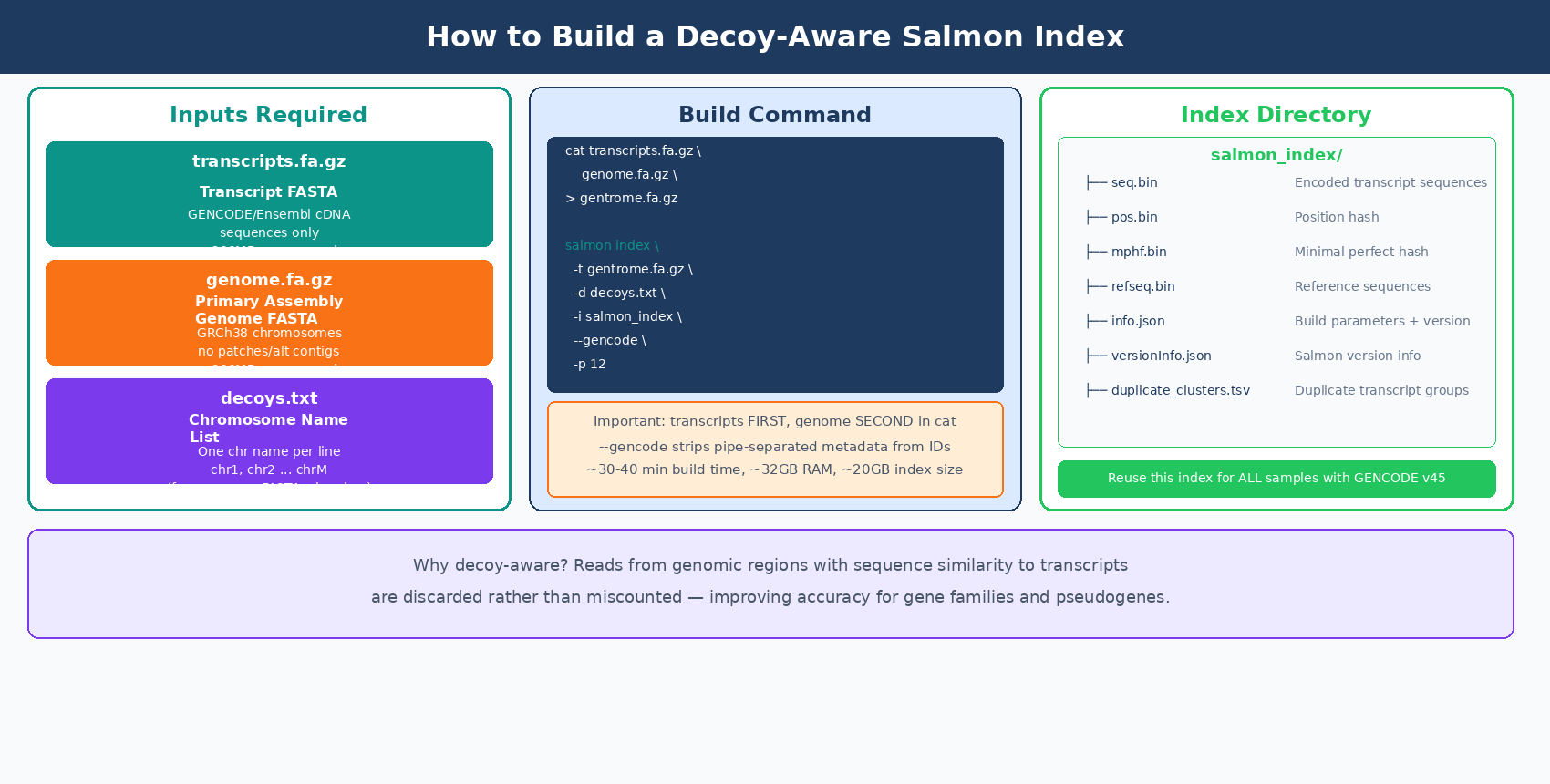 Diagram showing how a decoy-aware Salmon index is built: transcript FASTA concatenated with genome FASTA to form gentrome.fa, with chromosome names in decoys.txt, producing a salmon index directory containing the hash, seq.bin, and other index files