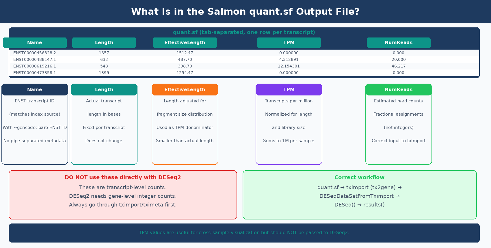 Annotated diagram of a Salmon quant.sf file showing the five columns: Name (transcript ID), Length (actual length), EffectiveLength (length adjusted for fragment distribution), TPM (normalized expression), and NumReads (fractional estimated counts), with explanations of how each is used downstream