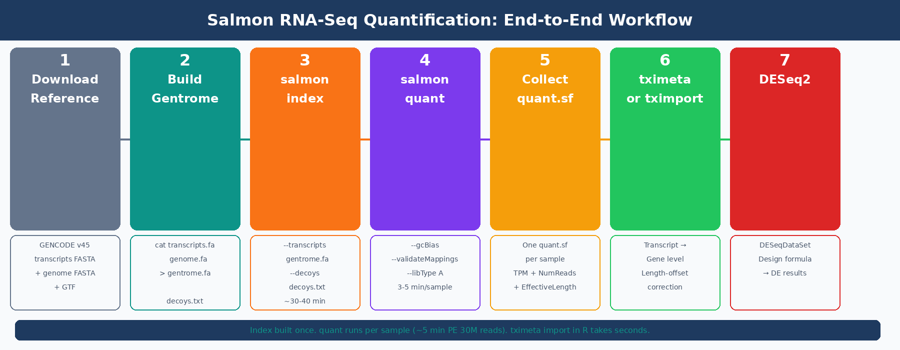 End-to-end Salmon RNA-seq quantification workflow: download reference FASTA, build decoy-aware index, run salmon quant on FASTQ files, collect quant.sf outputs, import with tximeta in R, and feed DESeqDataSet to DESeq2