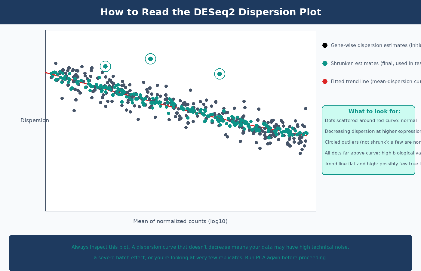 DESeq2 dispersion plot showing gene-wise MLE dispersion estimates as black dots scattered around the fitted mean-dispersion trend curve in red, with final shrunken dispersion estimates as blue dots pulled toward the curve, and a few circled outlier genes marked in blue that were not shrunk