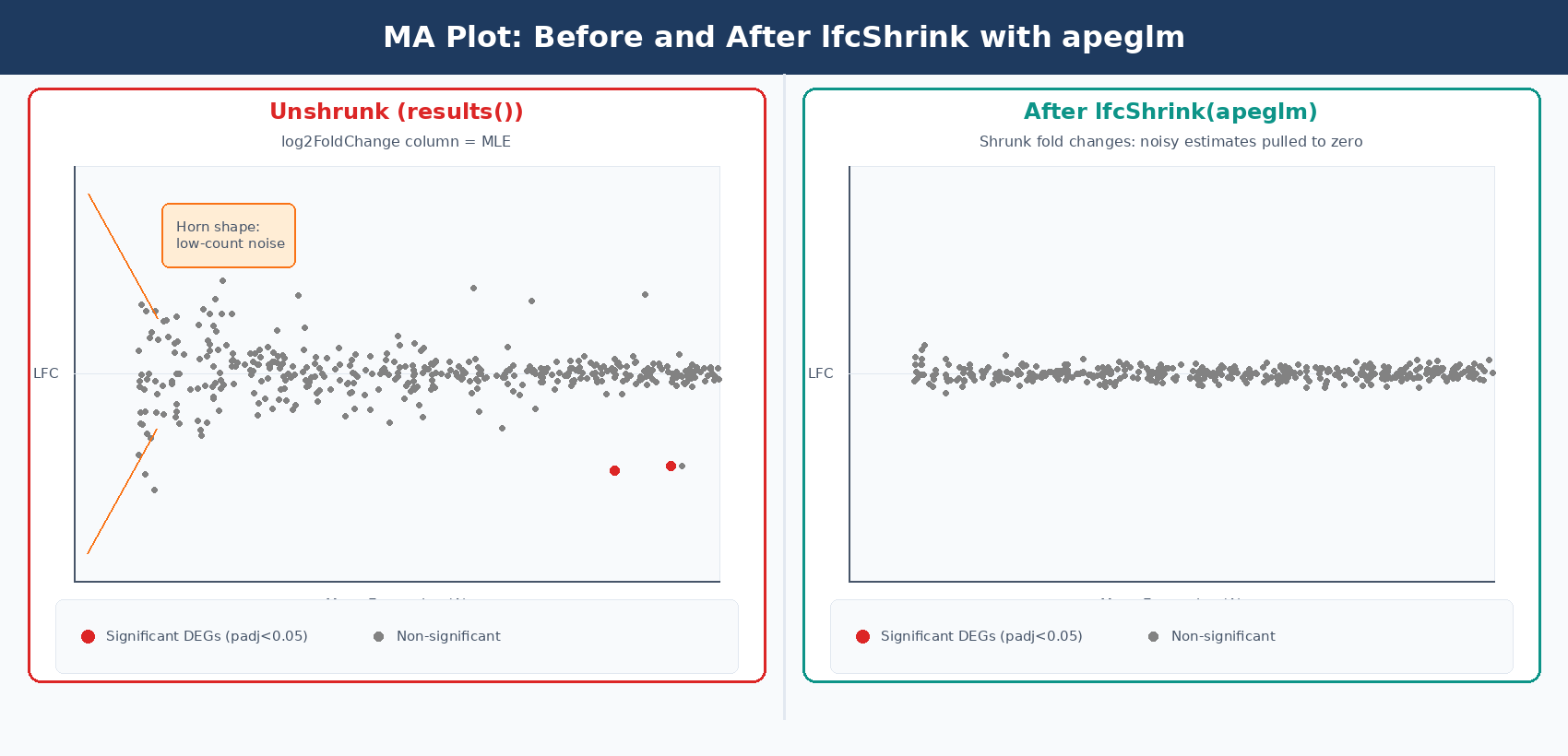 Two side-by-side MA plots showing mean expression on the x-axis and log2 fold change on the y-axis: left plot shows raw DESeq2 results with noisy high-variance estimates at low expression levels; right plot shows apeglm-shrunken results where low-count genes are pulled toward zero while strongly expressed DEGs retain their fold change magnitude