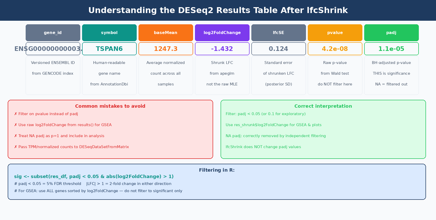 Annotated screenshot of a DESeq2 results table with columns gene_id, symbol, baseMean, log2FoldChange, lfcSE, pvalue, and padj, with color coding highlighting significant genes with padj below 0.05 and arrows pointing to key values with explanations of what each column means