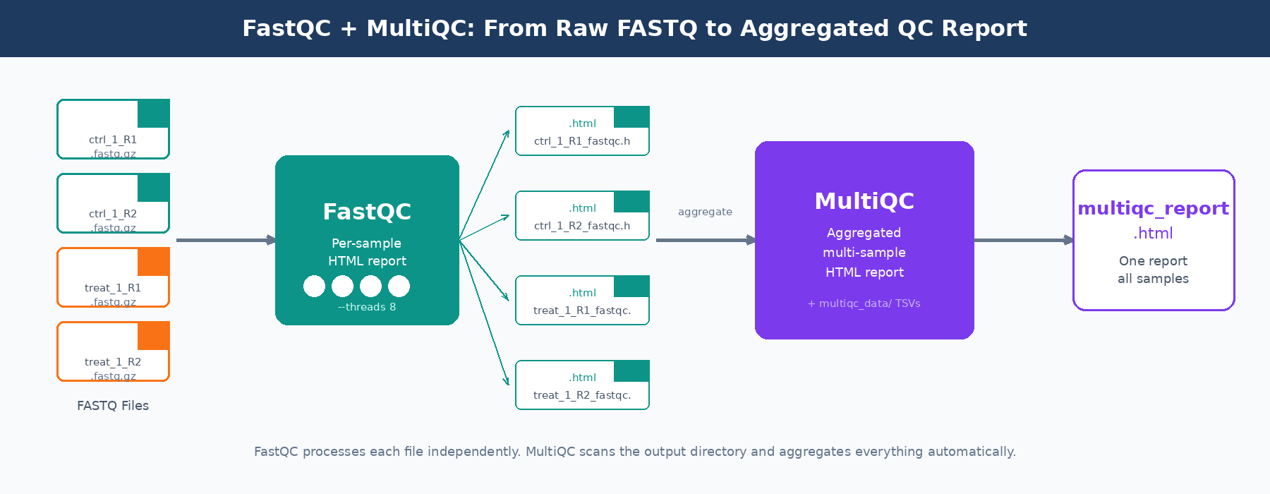 Workflow diagram showing FASTQ files flowing into FastQC for per-sample reports, then into MultiQC for an aggregated multi-sample HTML summary report