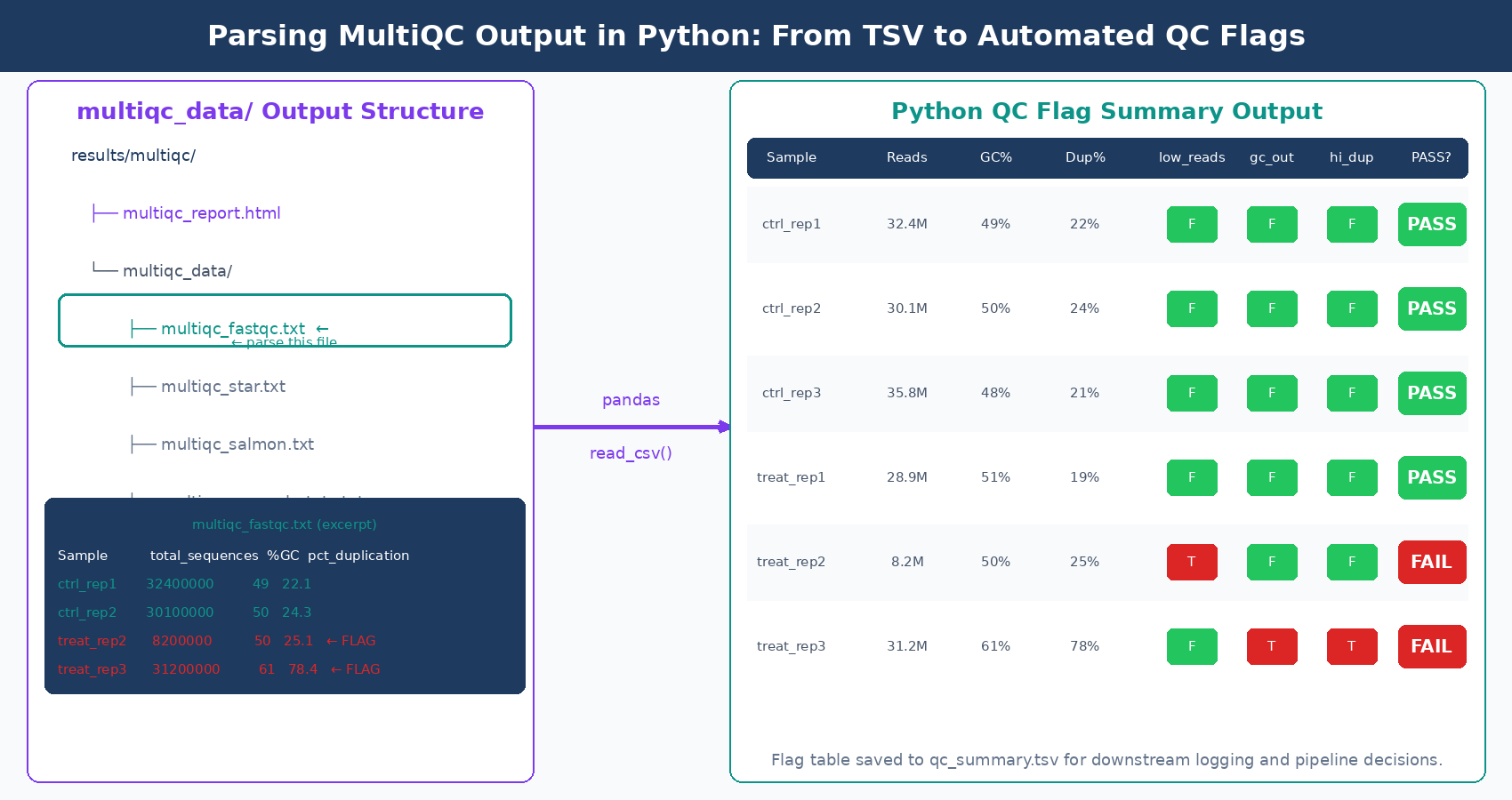 Diagram showing MultiQC multiqc_data directory structure with multiqc_fastqc.txt being parsed by a Python script to produce a QC summary table with pass and fail flags per sample