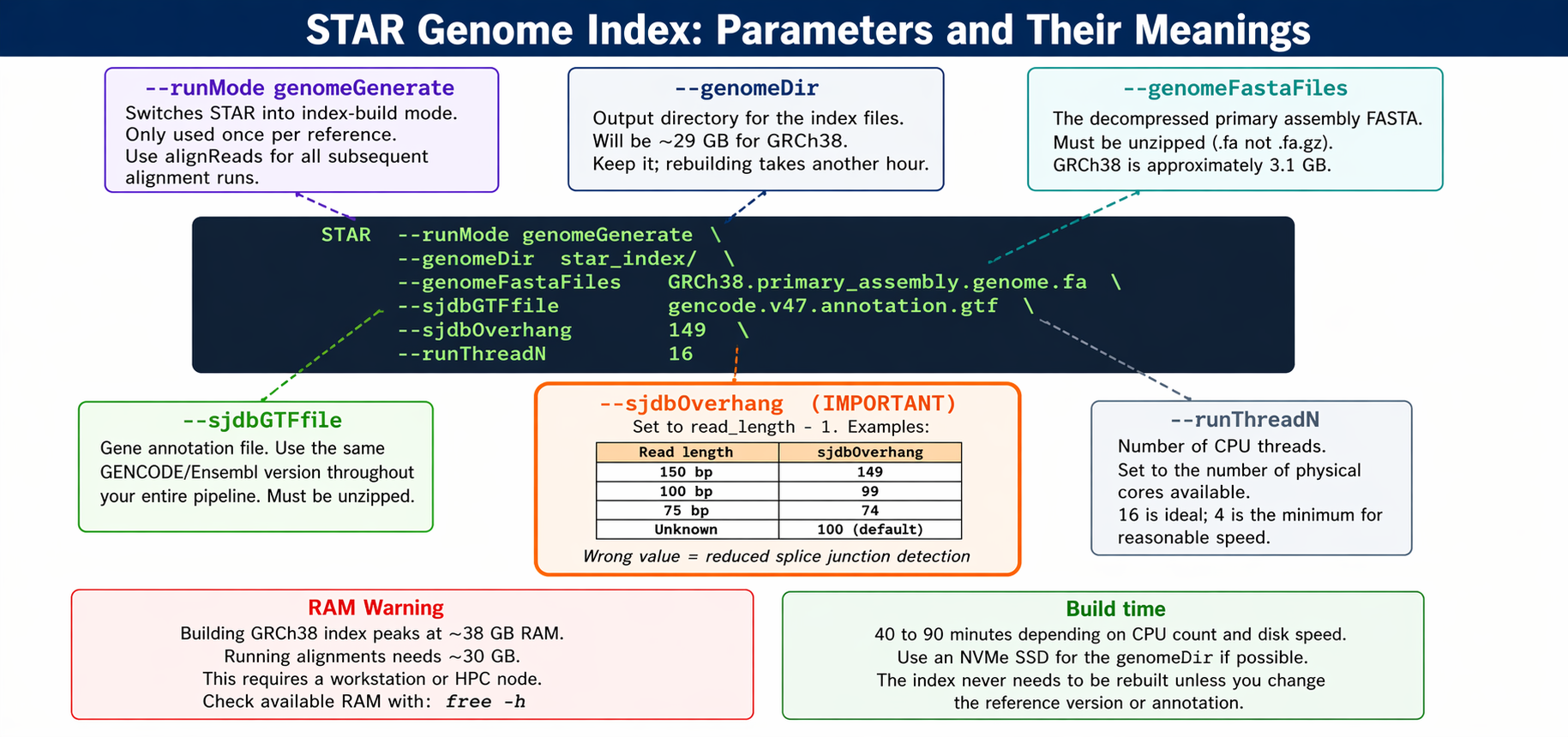 Annotated diagram of the STAR genome index build command showing each flag as a labeled box: genomeGenerate in navy indicating build mode, genomeFastaFiles pointing to the genome FASTA file, sjdbGTFfile pointing to the GTF annotation, sjdbOverhang in orange with the formula read_length minus one and examples showing 149 for 150bp reads and 99 for 100bp reads, runThreadN indicating parallelism; below the command a timeline bar shows estimated runtime of 40 to 90 minutes with a RAM meter showing 38GB peak usage