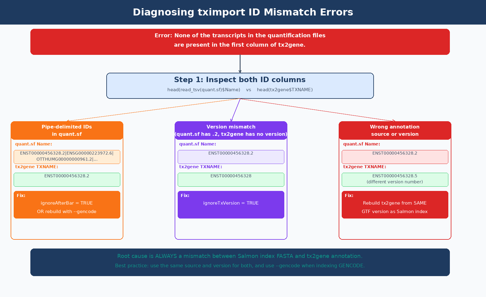 Diagnosis flowchart for the tximport error 'None of the transcripts in the quantification files are present in the first column of tx2gene', showing how to inspect quant.sf Name column and tx2gene TXNAME column, identify the mismatch type, and apply the correct fix