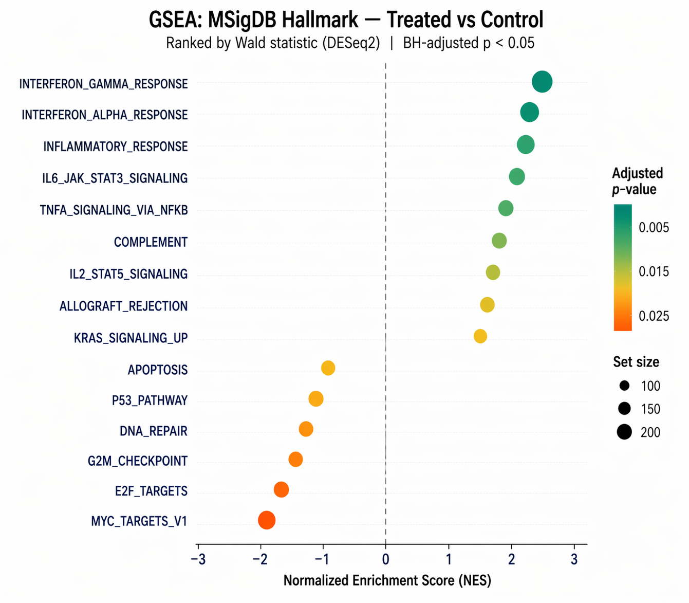 Horizontal dotplot from clusterProfiler GSEA showing 15 enriched MSigDB Hallmark pathways on the y-axis and NES on the x-axis; dots are colored from teal for low adjusted p-value to orange for high adjusted p-value; dot size represents gene set size; pathways like HALLMARK_INTERFERON_GAMMA_RESPONSE and HALLMARK_INFLAMMATORY_RESPONSE are at the right with positive NES values; HALLMARK_G2M_CHECKPOINT and HALLMARK_E2F_TARGETS are at the left with negative NES values; a vertical dashed line marks NES equals zero