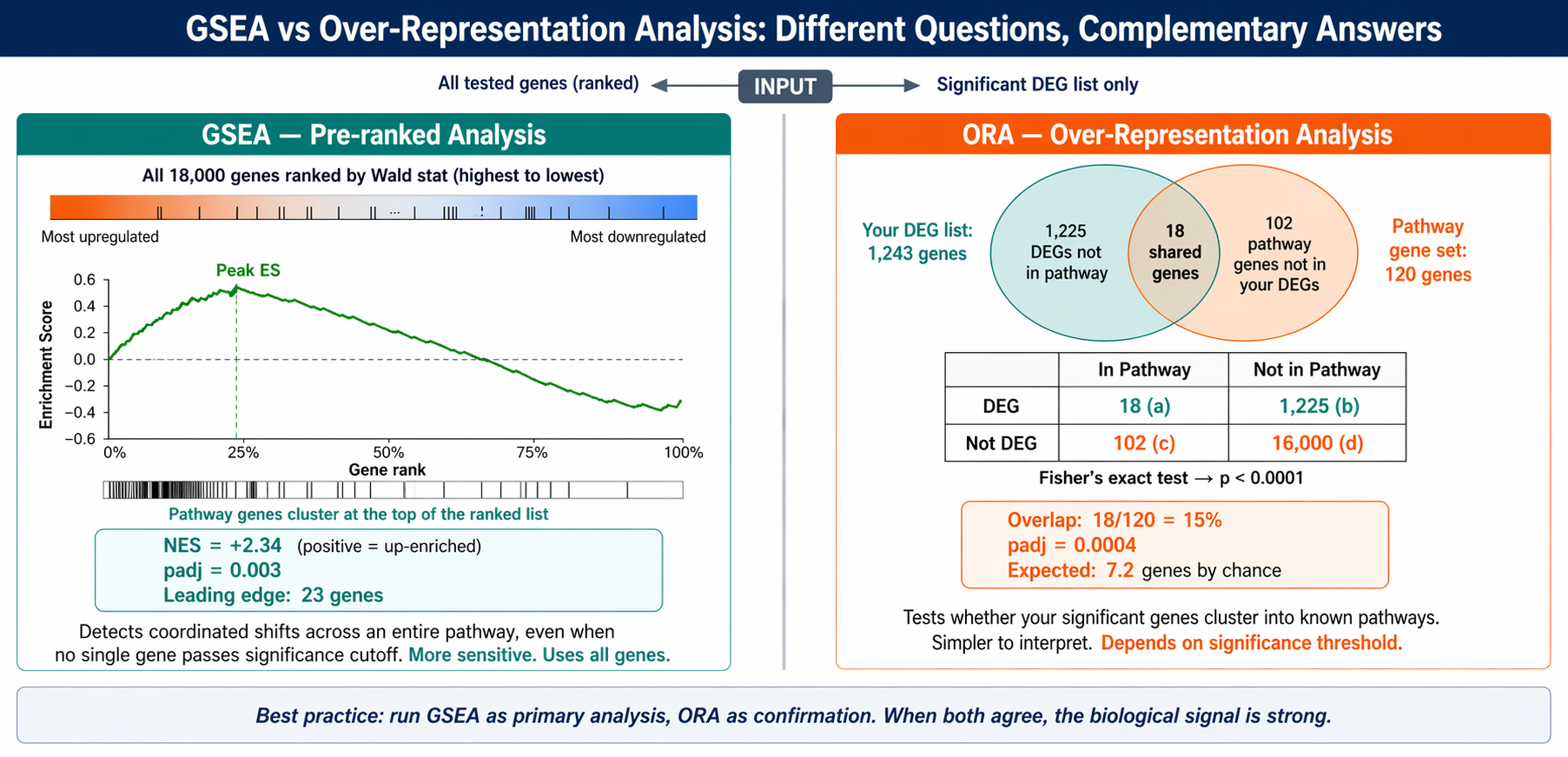 Two-column overview diagram comparing GSEA and ORA approaches: left column labeled GSEA shows a ranked gene list with a running enrichment score curve below it, annotated with NES and leading edge genes; right column labeled ORA shows a Venn diagram of DEG list overlapping with a pathway gene set, with a 2x2 contingency table and Fisher's exact test notation below; center divider shows inputs with arrows pointing to each method