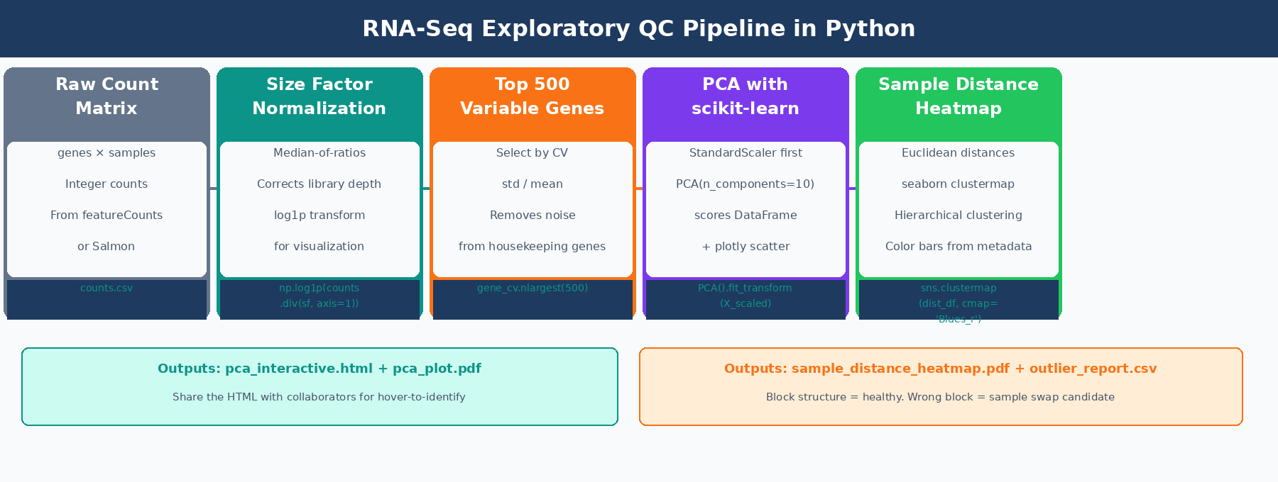 Five-step workflow diagram showing: raw count matrix, size-factor normalization with log1p transform, top 500 variable gene selection, PCA with scikit-learn producing a scatter plot, and seaborn clustermap producing a sample distance heatmap