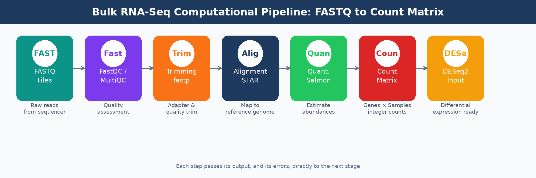 End-to-end bulk RNA-seq computational pipeline from FASTQ files through QC, trimming, alignment, quantification to the final count matrix