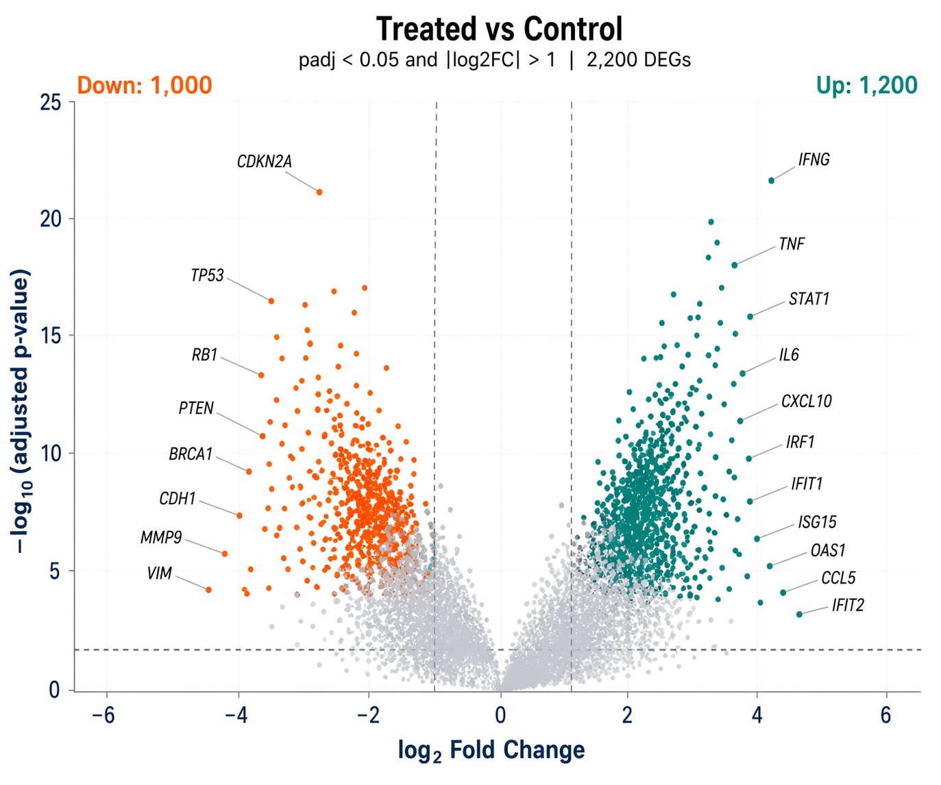 Publication-quality volcano plot from the R code above: x-axis labeled log2 Fold Change from -6 to 6, y-axis labeled negative log10 adjusted p-value from 0 to 25; grey dots for non-significant genes forming a dense cloud near zero; teal dots on the upper right for upregulated DEGs (Up: 1243 labeled in teal); orange dots on the upper left for downregulated DEGs (Down: 987 labeled in orange); dashed gray horizontal line at -log10(0.05); dashed gray vertical lines at -1 and +1; italic gene labels in black with thin connector lines for top 15 genes by absolute fold change including IFNG, TNF, MYC, CDKN2A, TP53; clean white background, minimal gridlines, bold axis titles in dark navy