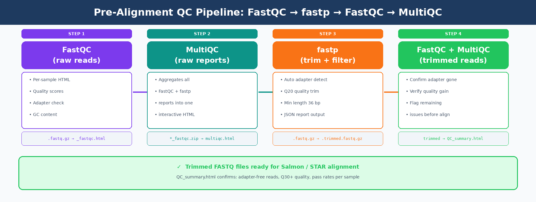 Four-stage QC pipeline diagram: Stage 1 shows raw FASTQ files feeding into FastQC producing per-sample HTML reports, Stage 2 shows MultiQC aggregating all raw reports into one HTML summary, Stage 3 shows fastp performing adapter trimming and quality filtering producing trimmed FASTQ files plus a JSON report, Stage 4 shows FastQC plus MultiQC running again on trimmed reads to confirm the fix, with a final green checkmark labeled Ready for alignment