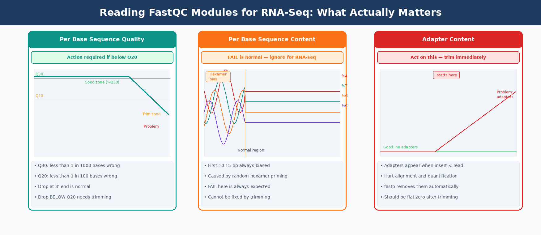 Three-panel diagram showing FastQC module interpretation for RNA-seq: Left panel shows Per Base Sequence Quality with a quality score curve, teal region above Q30 labeled good, orange region Q20-Q30 labeled trim, red region below Q20 labeled problematic; Middle panel shows Per Base Sequence Content with a wavy multicolored plot for the first 15 bases labeled expected hexamer priming bias ignore and a flat region after labeled normal; Right panel shows Adapter Content with a rising blue line labeled problem trim with fastp and a flat baseline labeled good no adapters