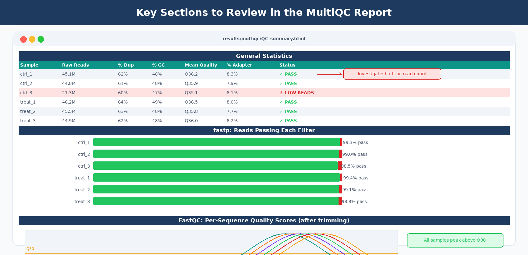 Annotated screenshot-style diagram of a MultiQC report: the top shows a General Statistics table with 12 rows one per sample, columns for reads, percent duplication, percent GC, mean quality score, and percent adapter trimmed, with arrows pointing to a sample with low reads labeled investigate; the middle shows a stacked bar chart of reads passing each fastp filter; the bottom shows a per-sequence quality score plot with all samples overlaid as colored lines, all peaking above Q30, labeled healthy