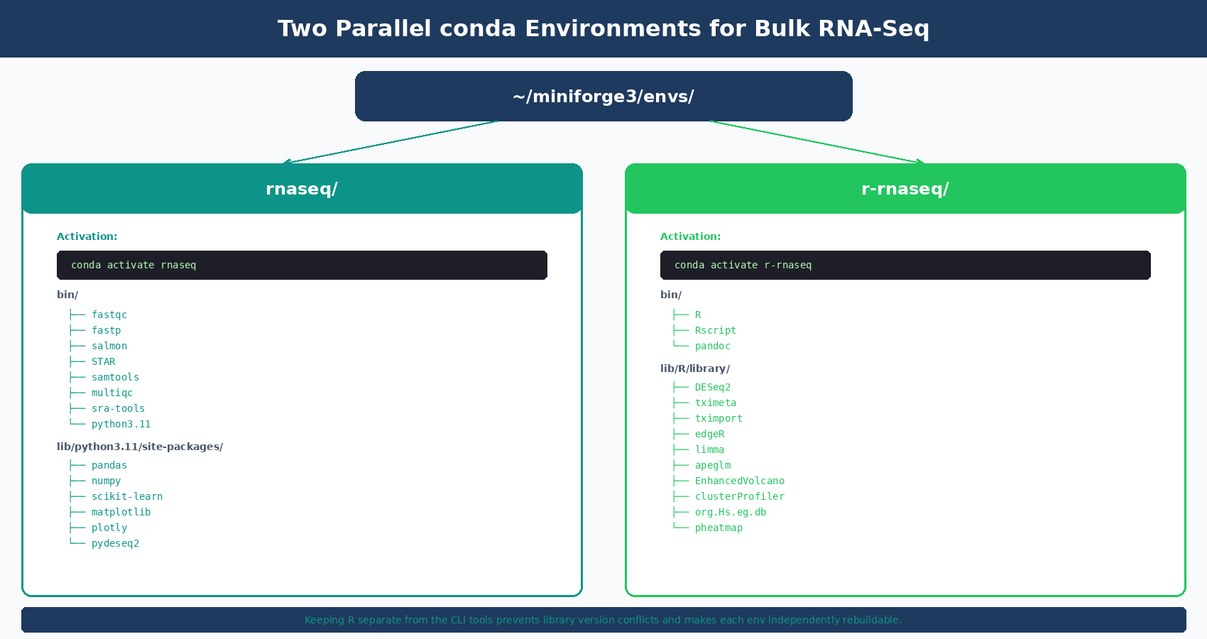 Directory tree diagram showing the structure of two conda environments: rnaseq environment containing command-line tools like FastQC, fastp, Salmon, STAR, samtools, multiqc, and a PyDESeq2 python package tree; and a separate r-rnaseq environment containing R 4.4 with Bioconductor packages DESeq2, tximeta, edgeR, limma, and apeglm; with arrows showing that both environments live under miniforge3/envs/ and are activated with conda activate