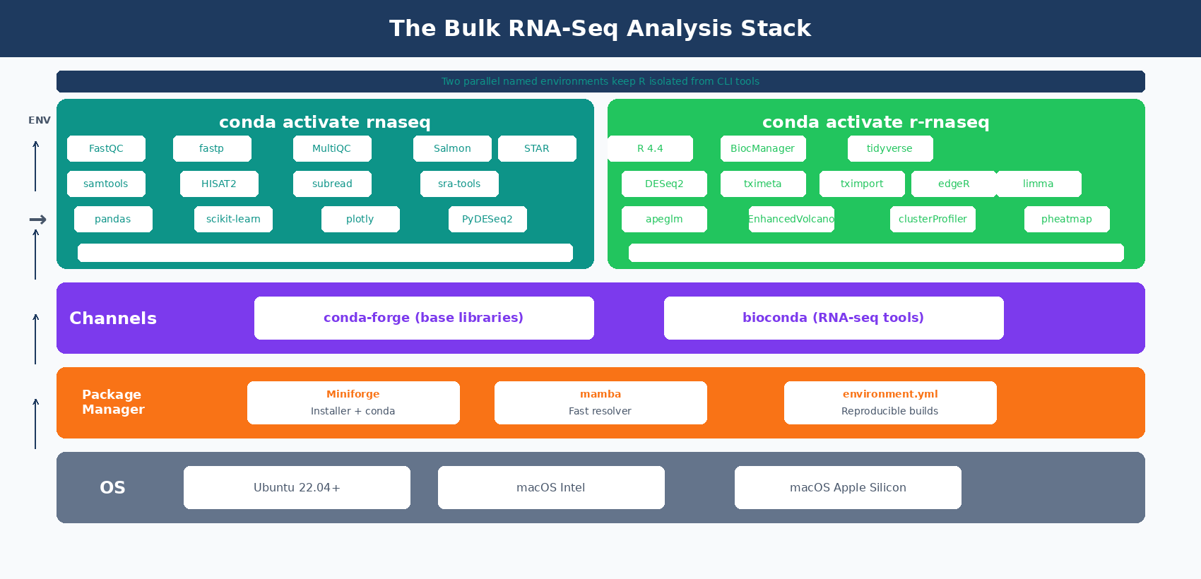 Diagram showing the bulk RNA-seq environment stack: OS layer at the bottom (Ubuntu, macOS Intel, macOS Apple Silicon), Miniforge and mamba as the package manager, conda-forge and bioconda as the channels, a named rnaseq environment containing FastQC, fastp, Salmon, STAR, samtools, and MultiQC on top, with a parallel R 4.4 layer containing DESeq2, tximeta, and edgeR from Bioconductor