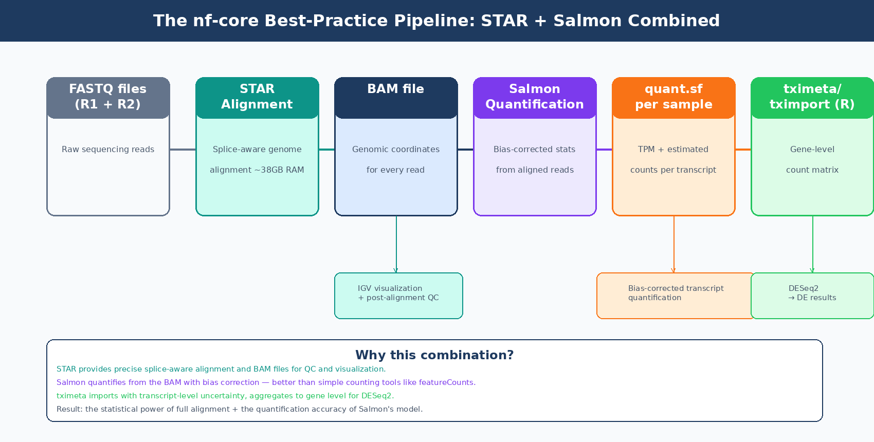 Data flow diagram showing the recommended STAR plus Salmon combined pipeline: FASTQ files go to STAR alignment producing BAM files, which then feed into Salmon alignment-based quantification producing quant.sf files, which are imported by tximeta into R for DESeq2 analysis