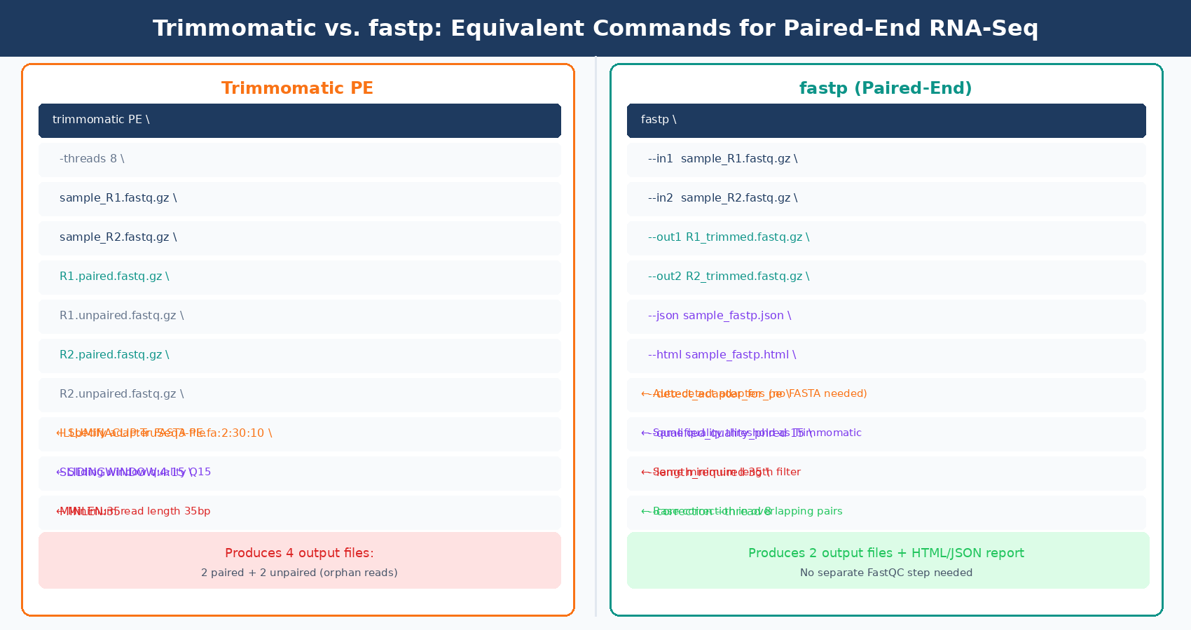 Side-by-side comparison of equivalent Trimmomatic and fastp command parameters for paired-end RNA-seq adapter trimming, showing which flags correspond to the same functions in each tool