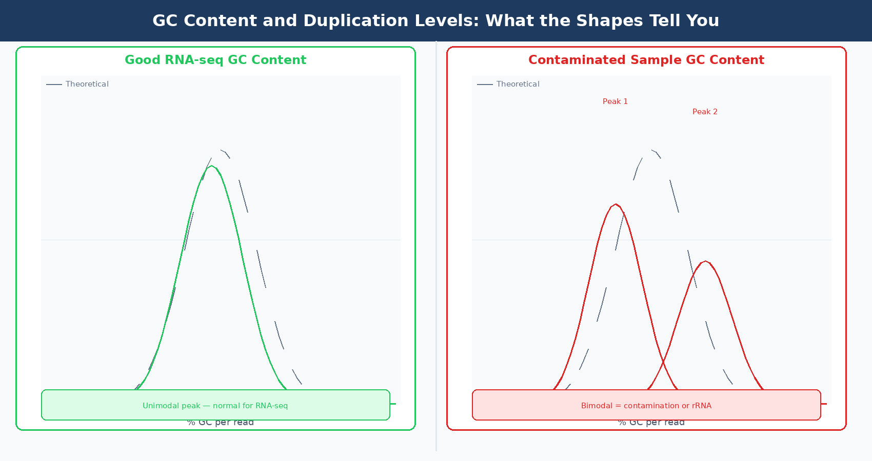 Two FastQC module plots for RNA-seq: the per-sequence GC content showing a normal bell curve (expected for RNA-seq) versus a bimodal distribution indicating contamination, and the sequence duplication levels plot distinguishing biological duplication from PCR over-amplification