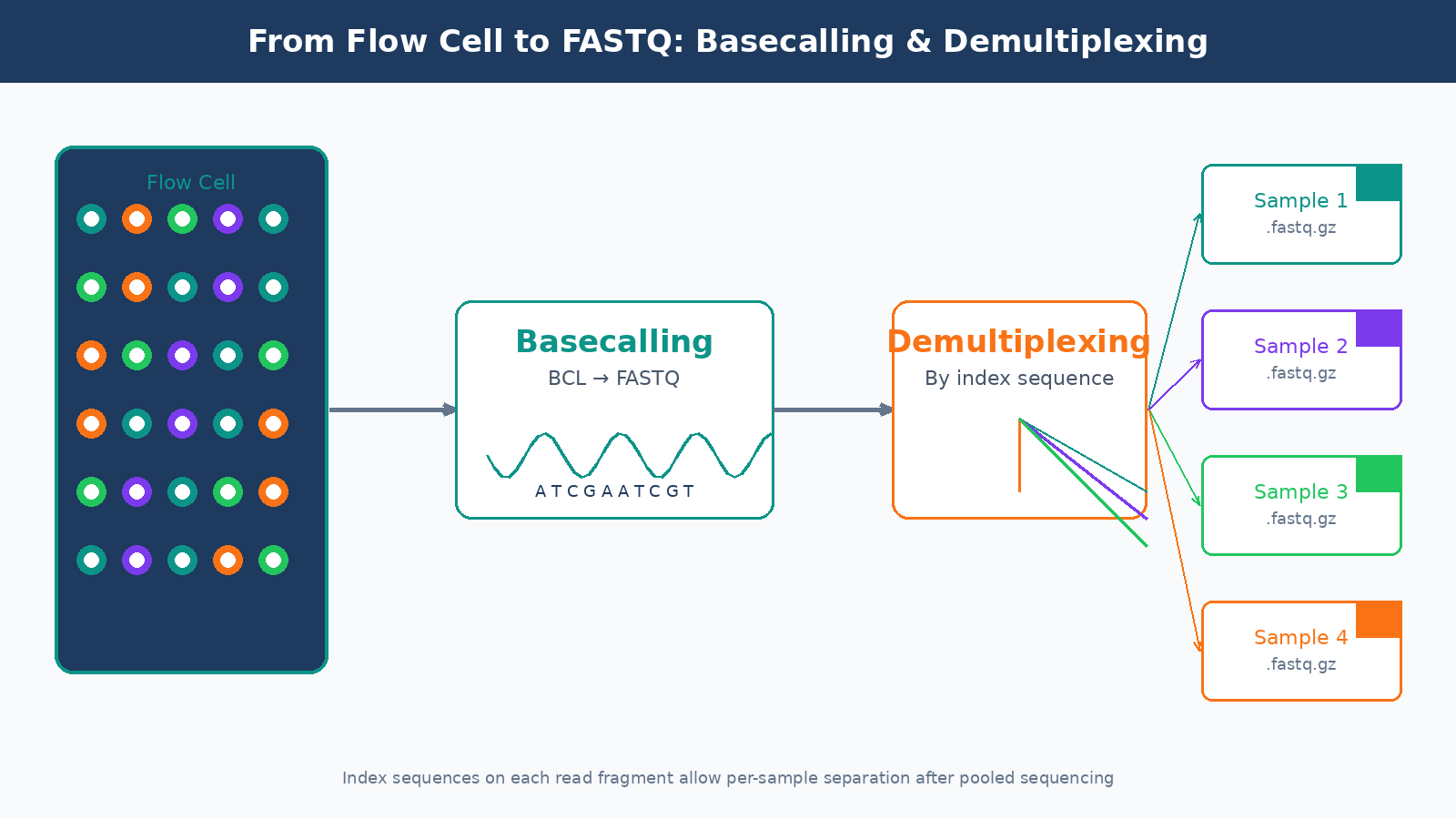 Diagram showing the process of converting raw Illumina BCL files through basecalling and demultiplexing to produce per-sample FASTQ files