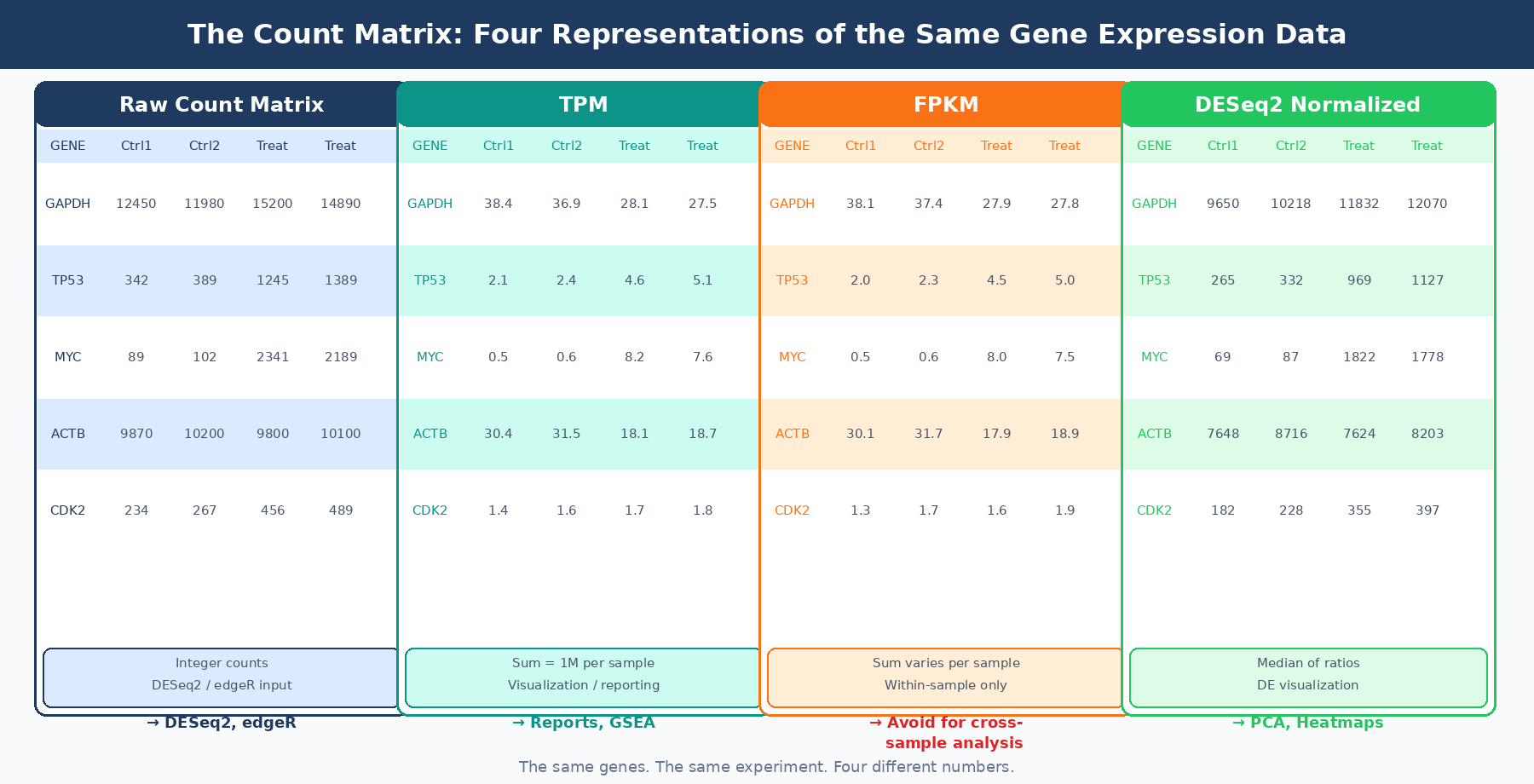 Diagram showing the structure of a raw count matrix with genes as rows and samples as columns, alongside transformed versions showing TPM, FPKM, and DESeq2 normalized values for the same data