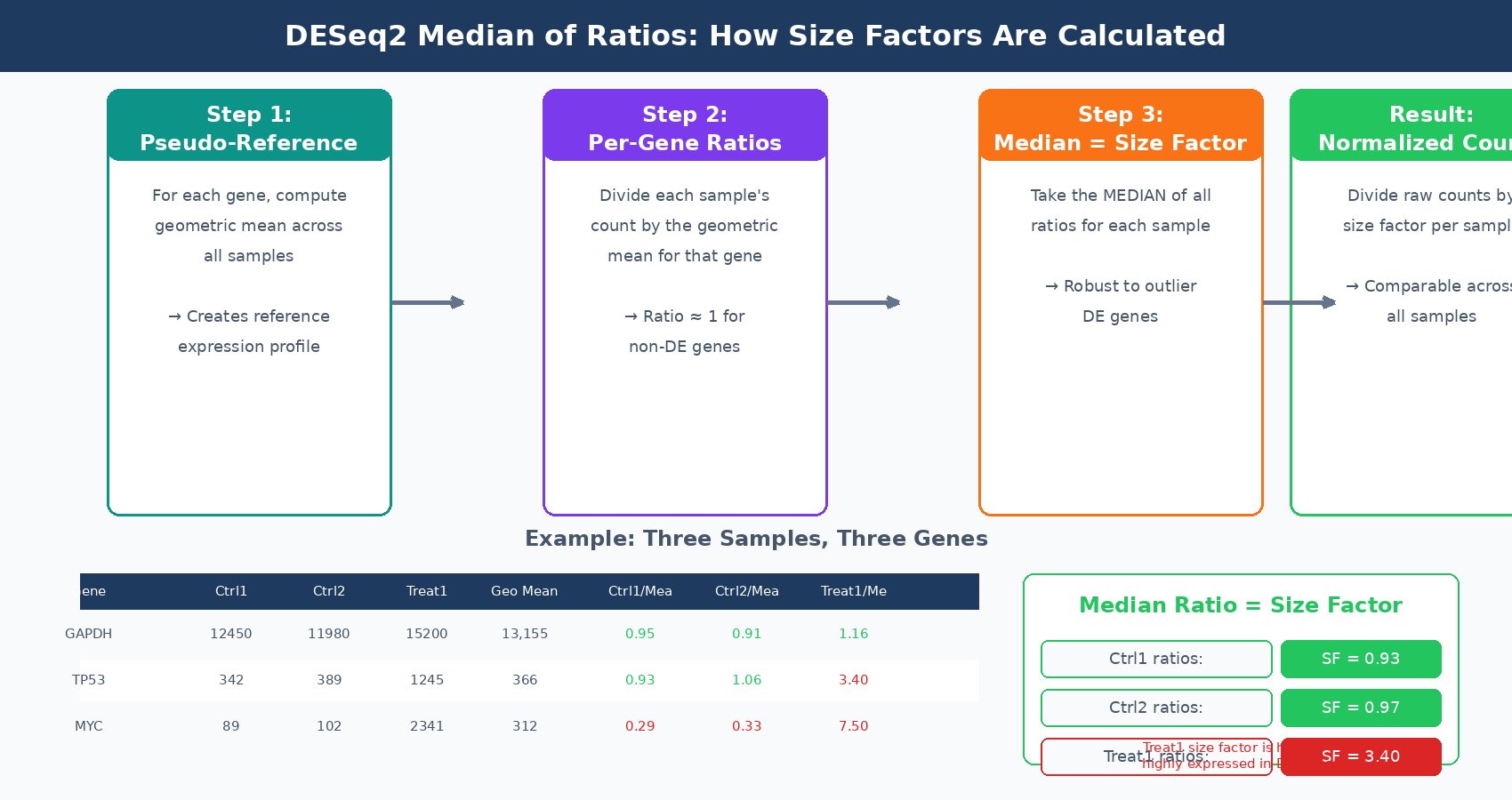 Diagram showing DESeq2 median of ratios normalization process: creating a pseudo-reference sample from geometric means, computing per-gene ratios for each sample, and taking the median ratio as the size factor that is then incorporated into the GLM