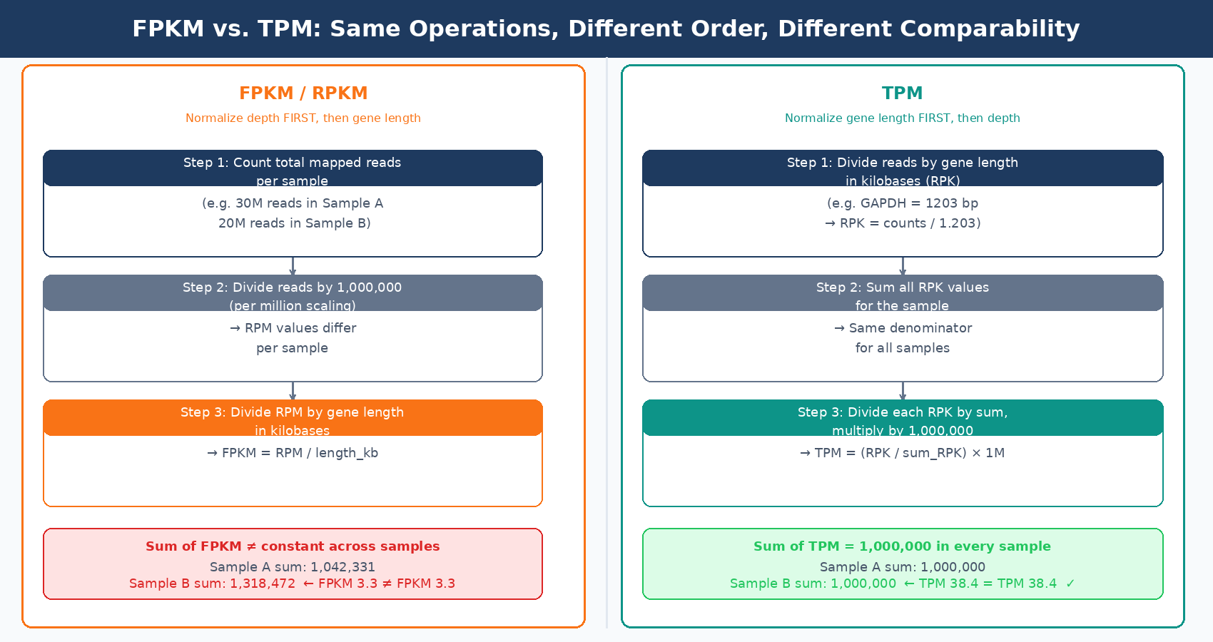 Step-by-step diagram comparing the calculation order for RPKM and TPM normalization, showing why RPKM totals differ between samples while TPM totals are always equal to one million, making TPM values comparable across samples