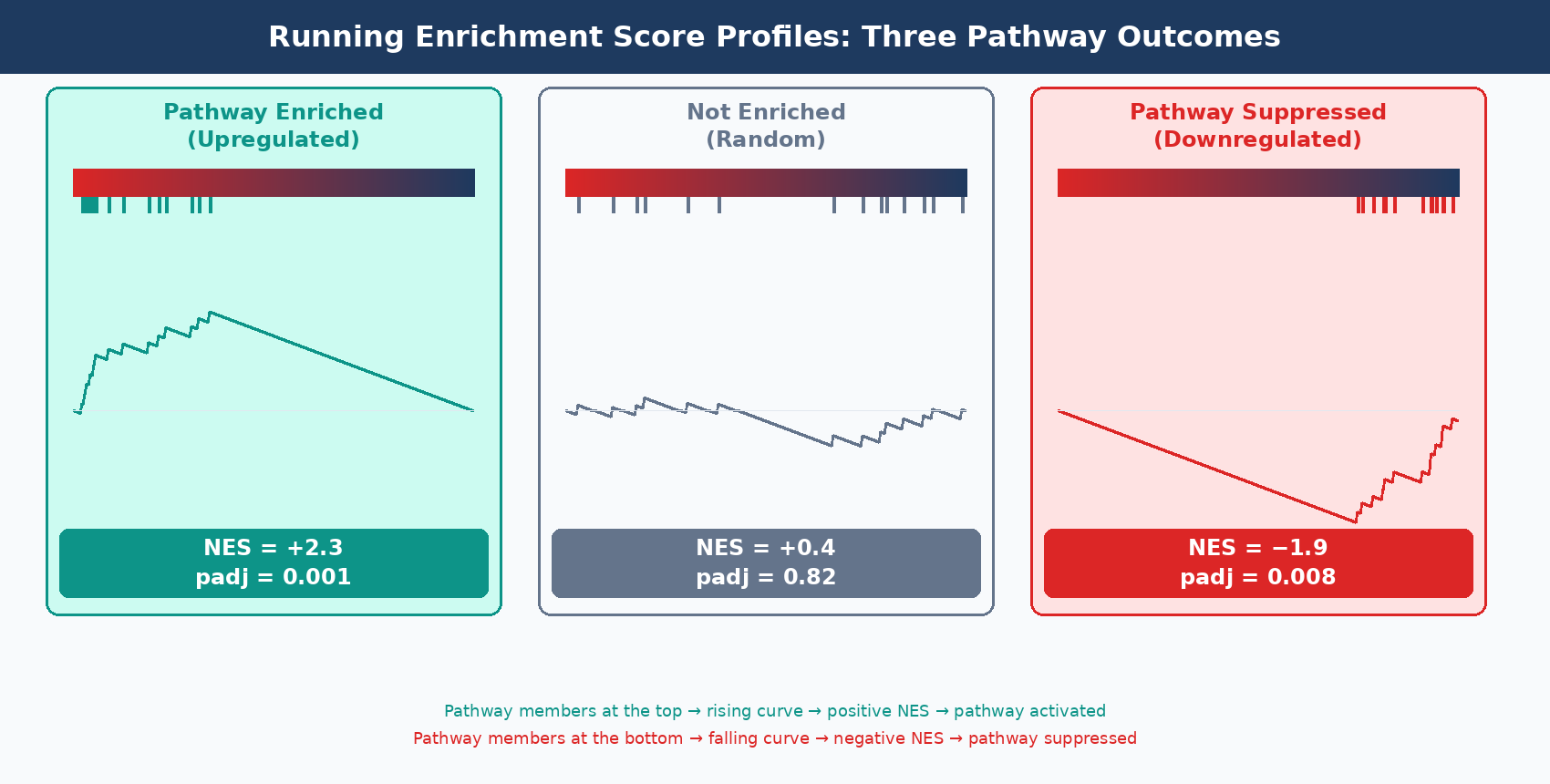 Three-panel running sum plot showing three example gene sets: one with clear enrichment at the top of the ranked list producing a high positive NES, one randomly distributed with flat running sum and low NES, and one enriched at the bottom showing negative NES indicating pathway suppression