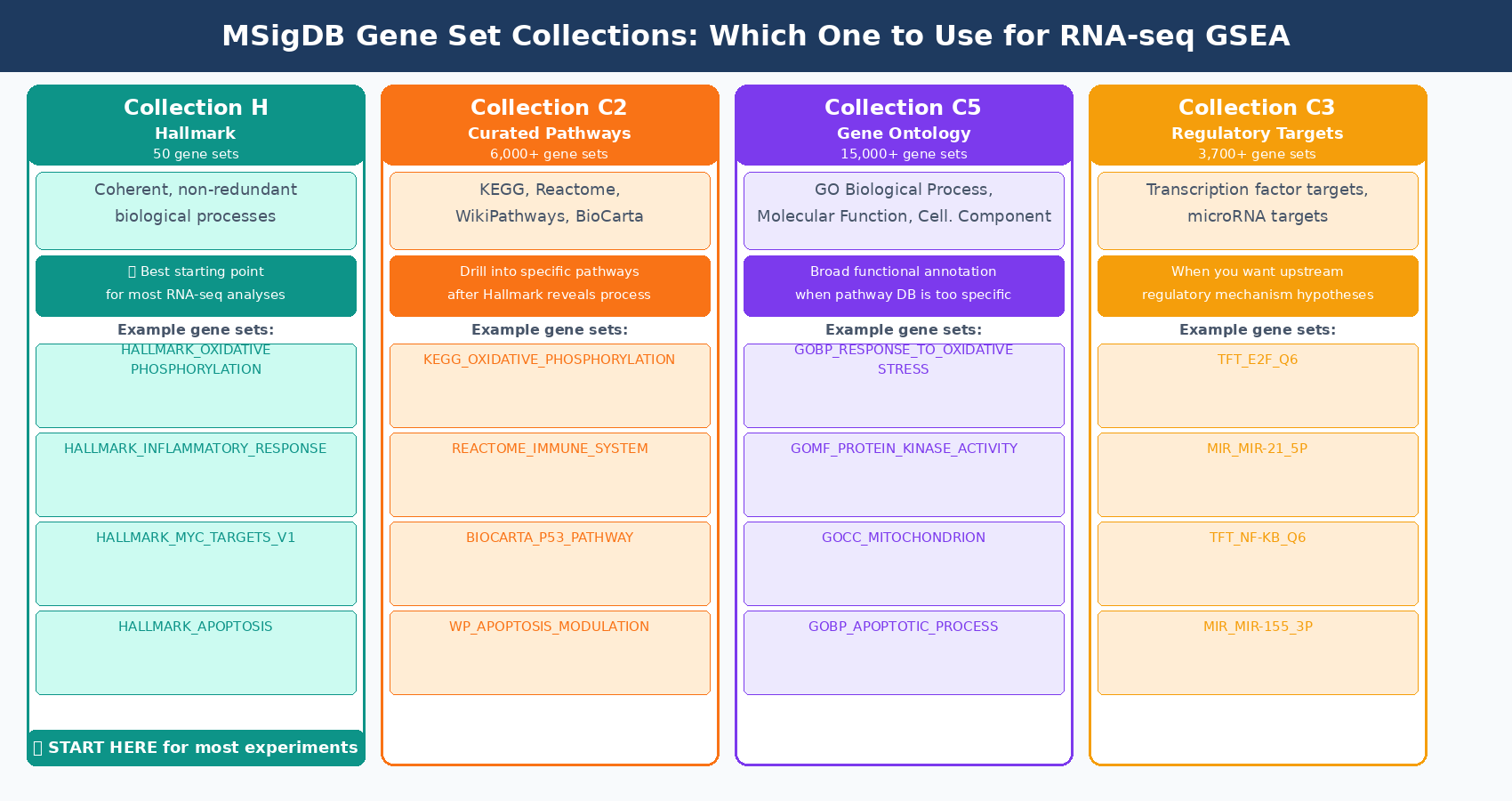 Visual guide to the MSigDB gene set collections H, C2, C3, C5 with descriptions of each collection, typical size ranges, and when to use each one for bulk RNA-seq pathway analysis