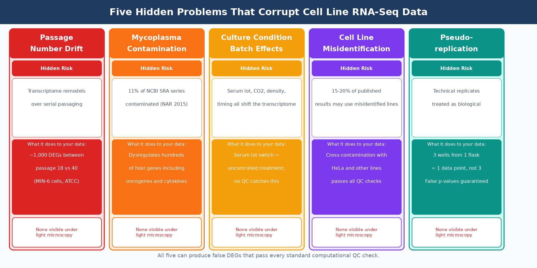 Overview diagram showing five hidden sources of variation in cell line RNA-seq experiments: passage number drift, mycoplasma contamination, culture condition batch effects, cell line misidentification, and pseudoreplication