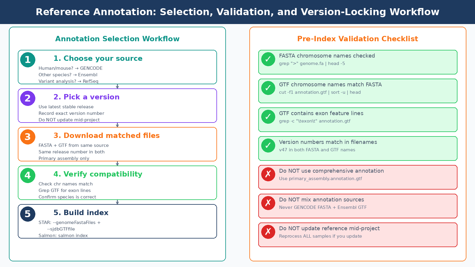 Decision workflow and checklist for selecting and validating an RNA-seq reference annotation, showing the steps from choosing a database through verifying chromosome name compatibility and version locking