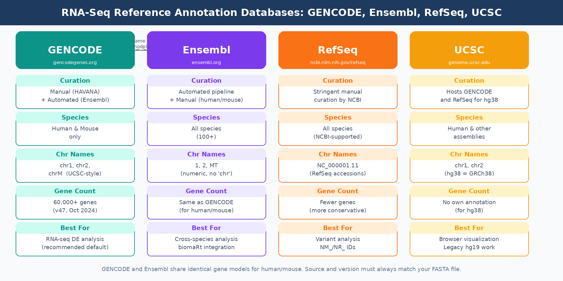 Diagram comparing the four major RNA-seq annotation databases: GENCODE, Ensembl, RefSeq, and UCSC, showing their relationships, gene counts, curation approaches, and chromosome naming conventions