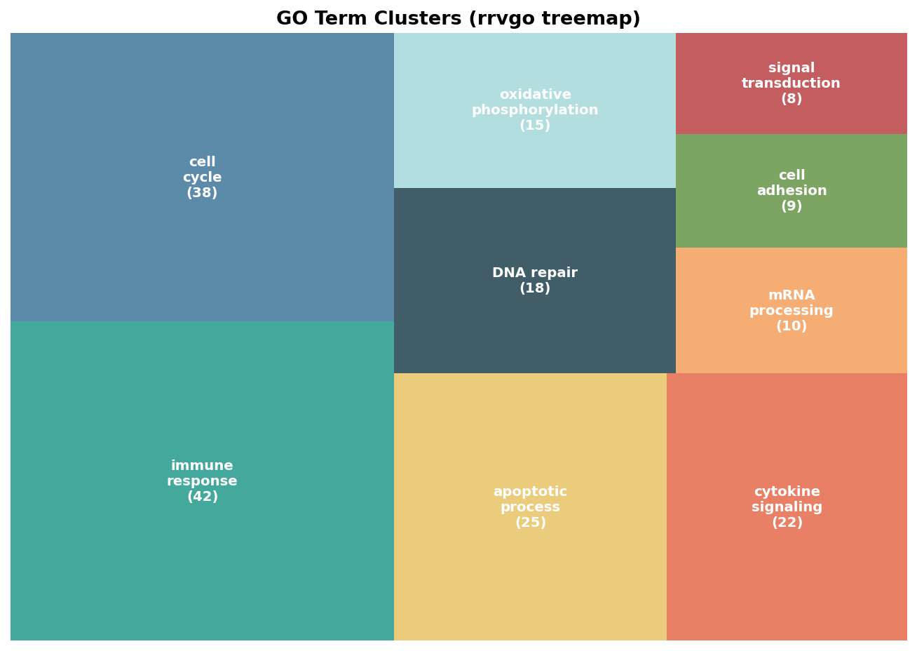 rrvgo treemap visualization showing GO term clusters as rectangles, with larger rectangles representing bigger clusters of semantically similar terms, colored by cluster
