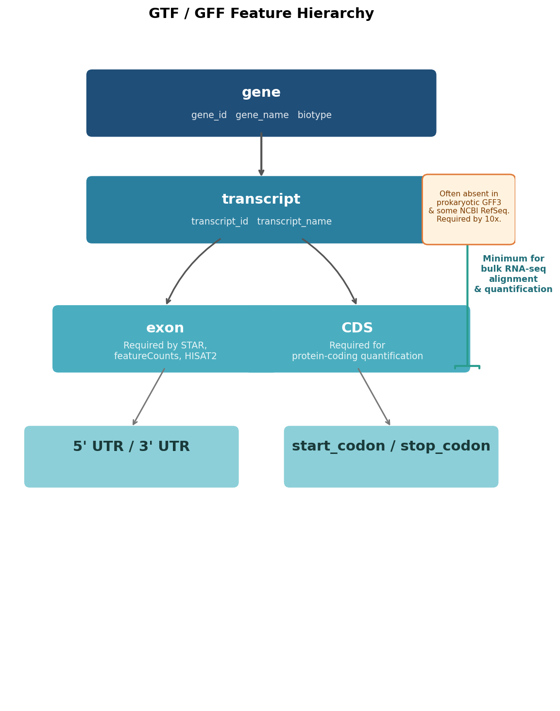 Diagram showing the GTF feature hierarchy from gene to transcript to exon and CDS, with annotations showing which levels STAR, featureCounts, and 10x Genomics cellranger require
