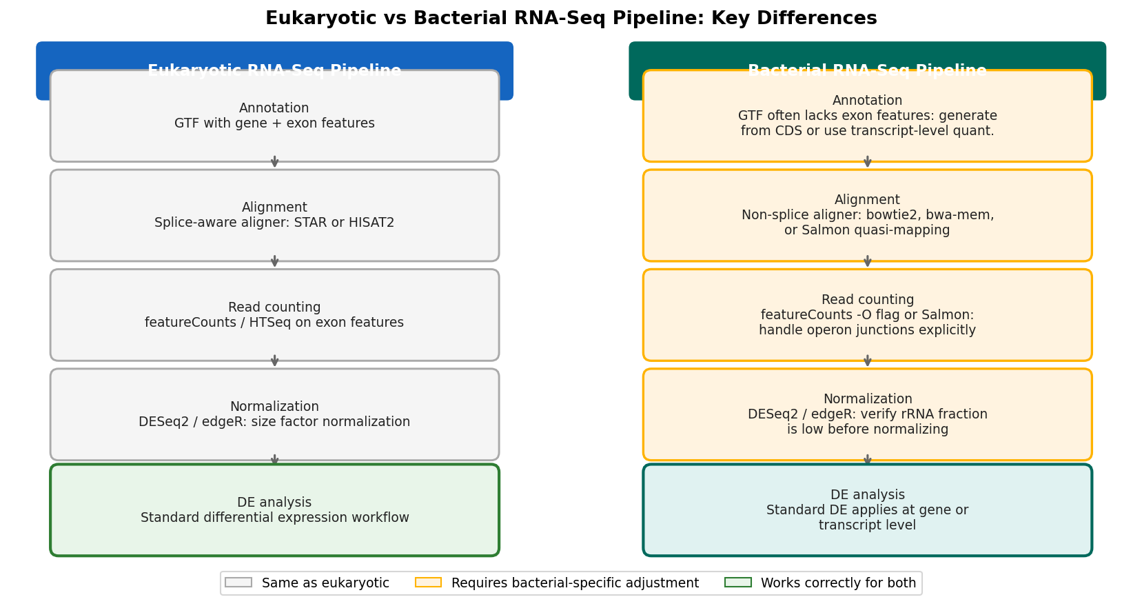 Side-by-side pipeline comparison showing where a standard eukaryotic RNA-seq pipeline diverges from a bacterial RNA-seq approach at annotation, alignment, counting, and normalization stages