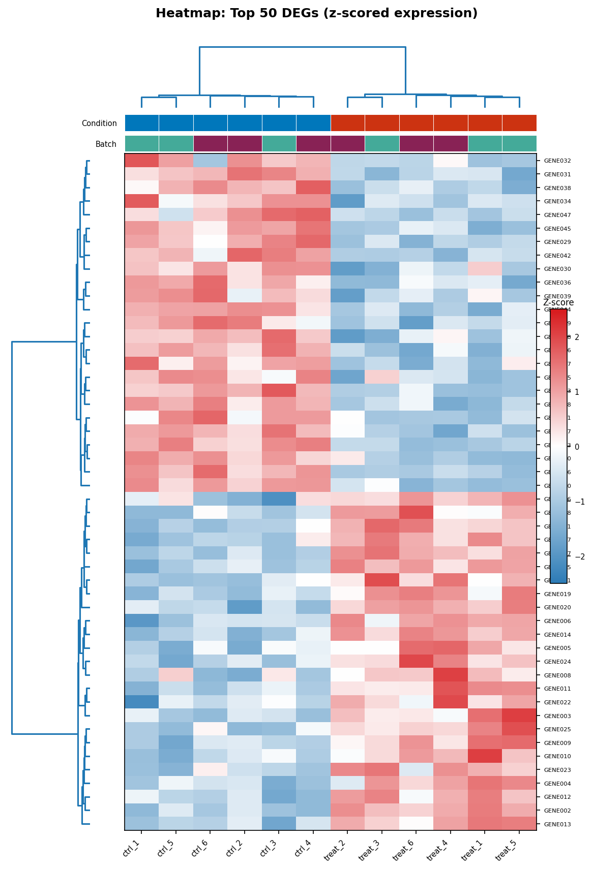 Publication-ready RNA-seq heatmap showing top 50 DEGs with z-score row scaling, condition and batch annotation bars at the top, ward.D2 clustering, and viridis-derived diverging color scale