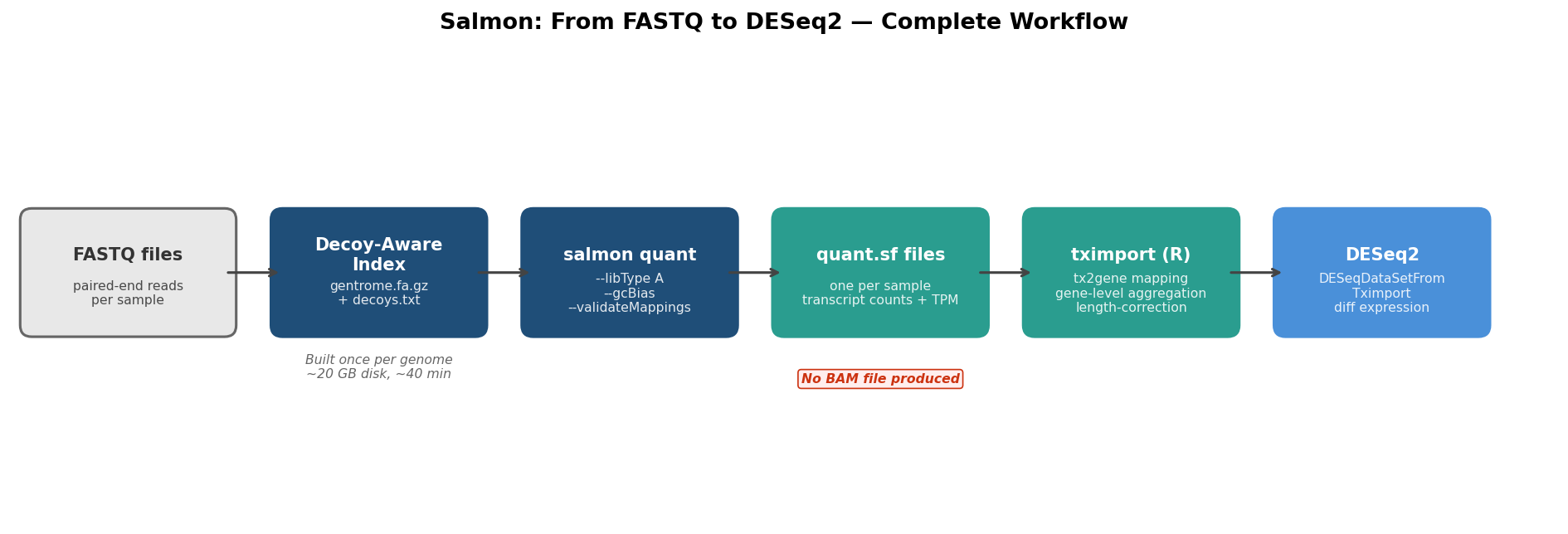 Workflow diagram showing the Salmon pseudoalignment pipeline from FASTQ files through decoy-aware index, salmon quant, tximport, and DESeq2